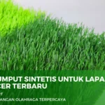 Harga Rumput Sintetis untuk Lapangan Mini Soccer Terbaru