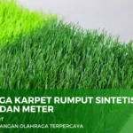 rumput sintetis fusal